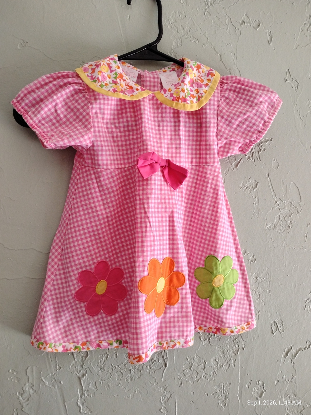 Allison Ann Pink Gingham Girls' Dress 2T